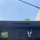 오렌지백반 이미지