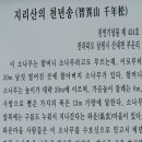 지리산의하루 이미지