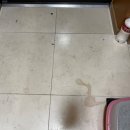 세심이클린 이미지