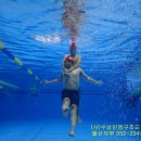 라이프가드 이미지