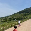 평지못 공중화장실 | 진례 평지못