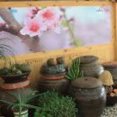 김삿갓면-33 이미지