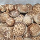 미래농장2 이미지