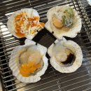 조개88 | 오이도 애견동반식당 조개구이 맛집 &lt;조개88&gt; 후기
