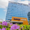 부산진구-10 이미지