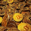 스테이블14 이미지