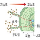 (초등)과학실험 이미지