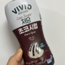 다이어트 중 초코 먹고 싶을 때 비비드 저당 초코시럽 사용 후기