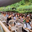 장미의거리4 이미지