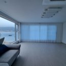 펠리스타운 이미지