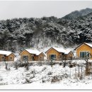 녹색농장 이미지