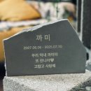 새방로 | 강아지비석 추천 | 맞춤 각인 추모비석 제작 후기 굿바이마이프렌드