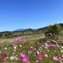 어등농장 이미지