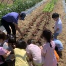 파주 적암초등학교 경기경제신문