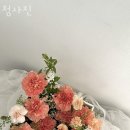 도화동꽃집 청사진 가격 위치 영업시간