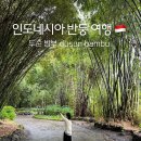M.T 25시 | 인도네시아 반둥 여행 :: 두순밤부 dusun bambu 택시 투어2 (톡파원25시)