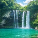 동홍로99번길 이미지