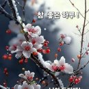 3월30일(토) 북부 정모에 존경하는 회원님들을 답십리 제니아무도장으로 정중히 초대 합니다~^&^ 이미지