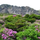 토평초등학교(병설) 이미지