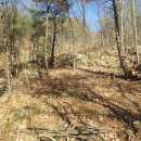 둔일농장 이미지