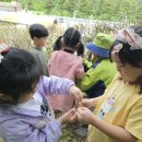 실내초병설유치원 이미지