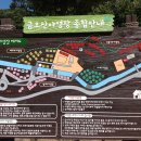 금오산 야영장 이미지