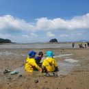 쏠라포스1호 태양광발전소 | 116th 해남 오시아노 캠핑 후기