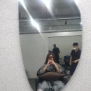 아르틴헤어