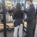 PT의 품격 | 대구 도원동pt 전문적인 피티, 섬세한 케어!