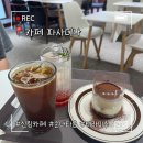 파사디나 | 카페 파사디나 신림카페추천, 순대타운근처에 이런 티라미수 맛집이..?