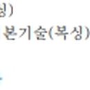 포커스 복싱짐 이미지