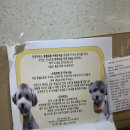 몽쉘꼬몽 | 강아지 수제간식 몽쉘꼬몽, 토네이덕츄 육포바삭이 후기