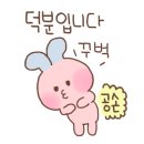카페파라곤