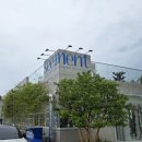 황금코다리제주화북점 | [카페 씨멘트 SEE.MENT] 제주 화북 대형 카페 흑임자 빙수 내돈내산 솔직후기
