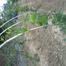 재삼농장 이미지