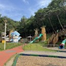 하모 인 진주 이미지