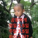 돌아온 신입의 삶 👼🏻