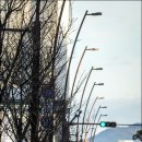 마스타카 이미지