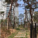 사랑으로세탁소 이미지