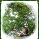 아진목장 이미지