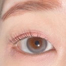 11545-05-28-21 | 망그러진곰X올리브영 에뛰드 프루티 스위츠 컬렉션 전제품 솔직리뷰