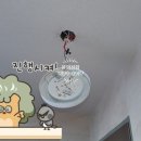 명진전기조명