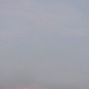 하이냥이 이미지