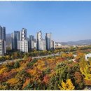 금터공인중개사사무소 이미지