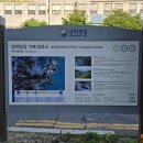 장승포119안전센터 이미지