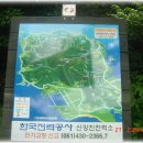 중매인43번