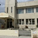 디어터틀(dear turtle) 이미지