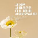 봄이랑다온이랑