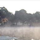 반곡저수지 이미지