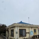 술의식물원